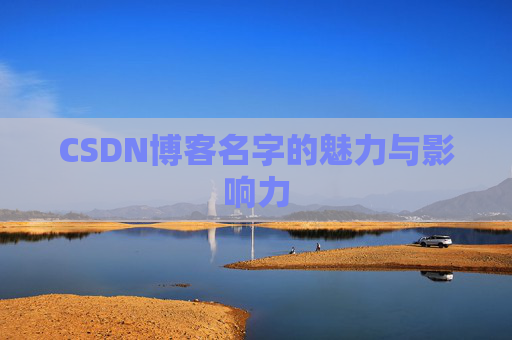 CSDN博客名字的魅力与影响力